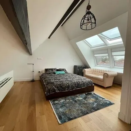 Spacious & Cozy House. 3 Bedrooms, 2.5 Bathrooms